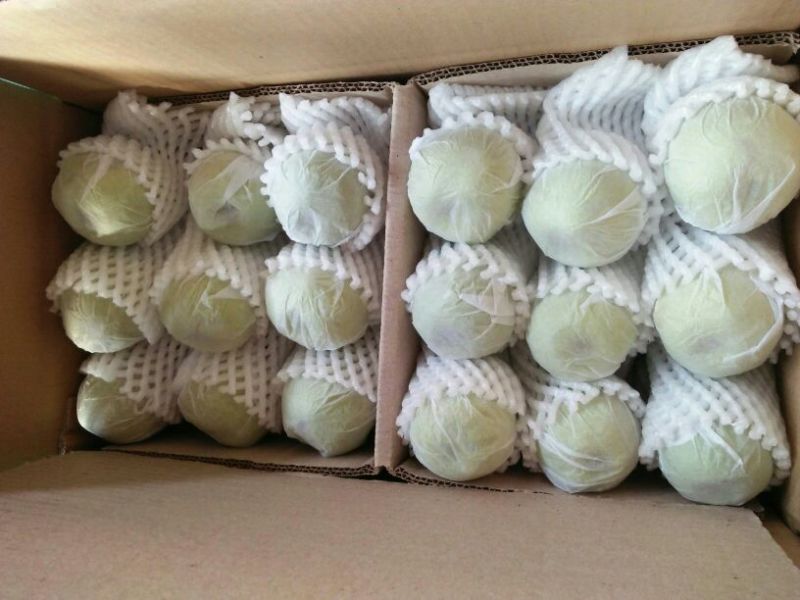 库尔勒香梨100~150g55mm以上母