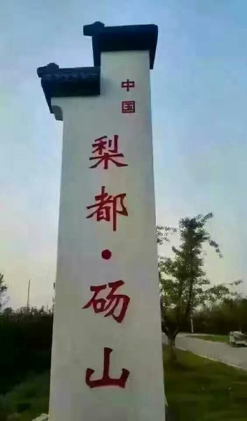 砀山梨150~200g纸加膜