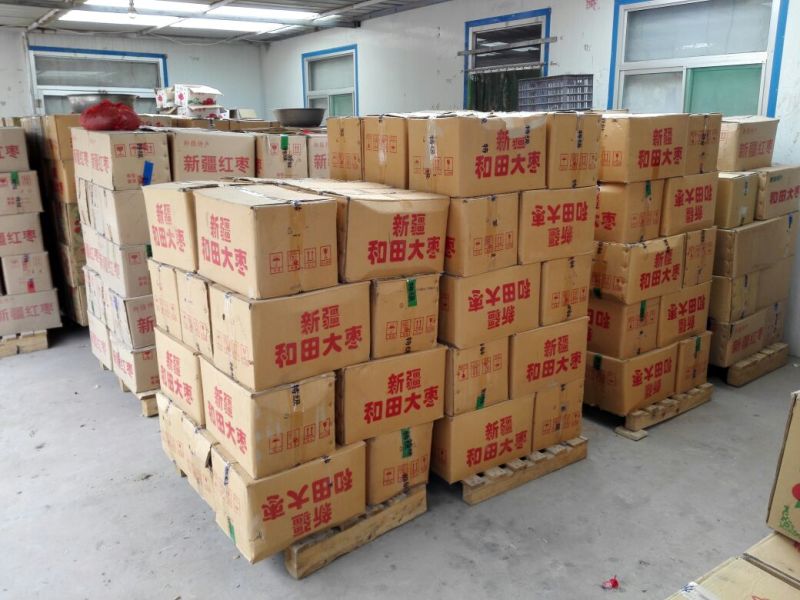 山西红枣自己家种的本地红枣