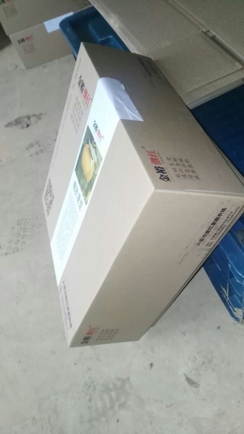 晚秋黄梨600g以上纸箱