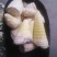 毛竹春笋15~20cm20~25cm25~30cm