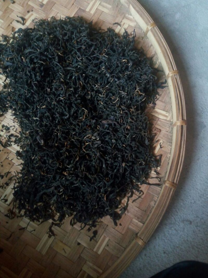 百年大树茶一级