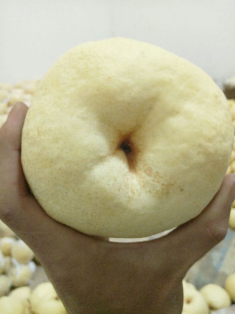 礼泉酥梨纸袋