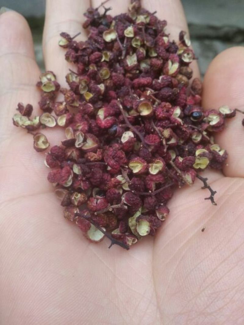 花椒特级干