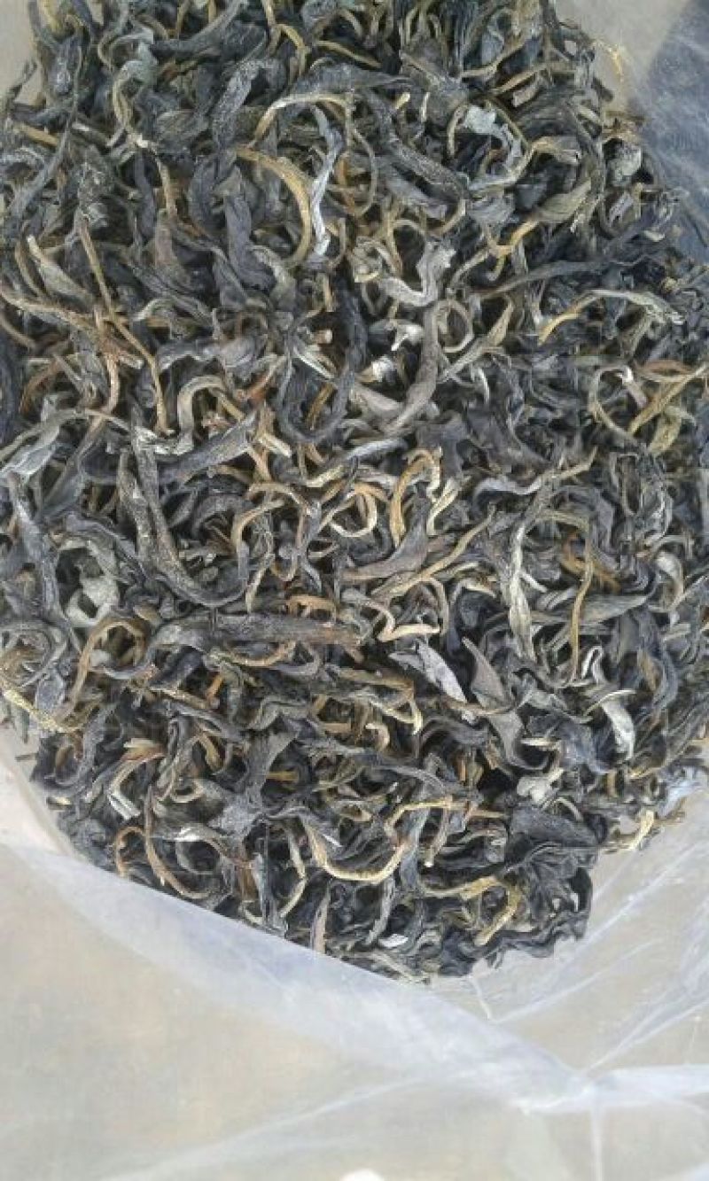 本山茶二级