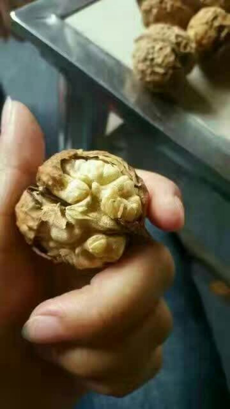 纸皮核桃去皮干