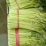 西芹50cm以上精品包装无夹心