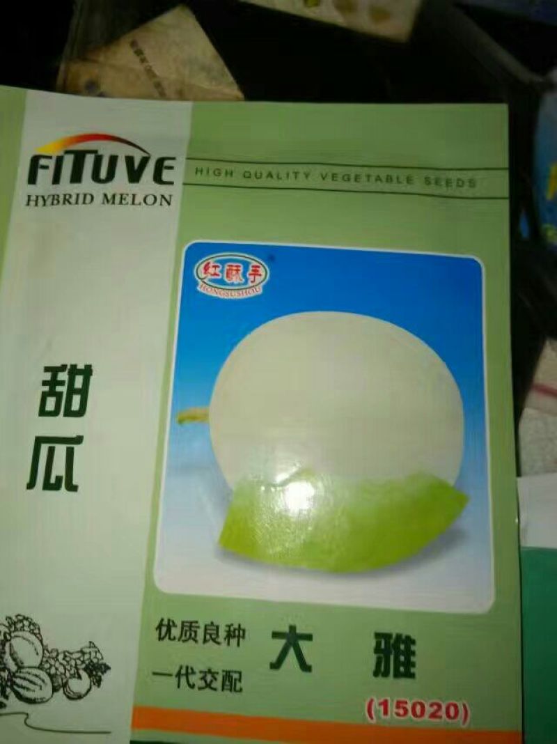 西瓜苗95%以上