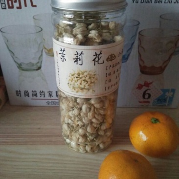 茉莉花苗10cm以下