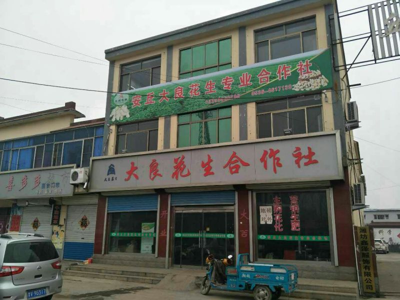 大良一号花生种子，全国空白地区招商