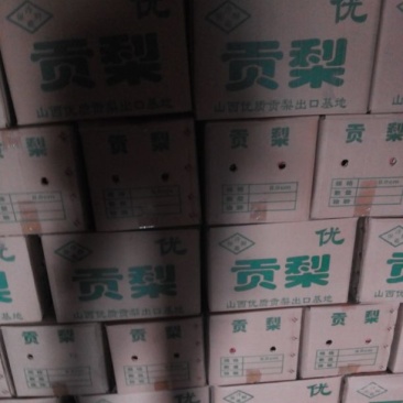 贡梨200~250g纸袋