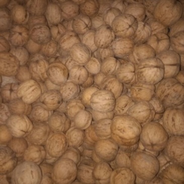 薄皮核桃30mm以上青皮干