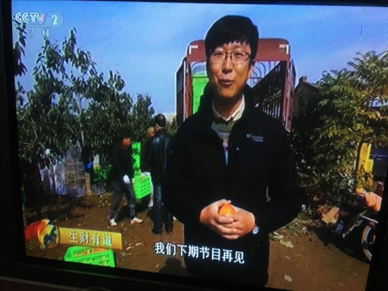 柿子醋