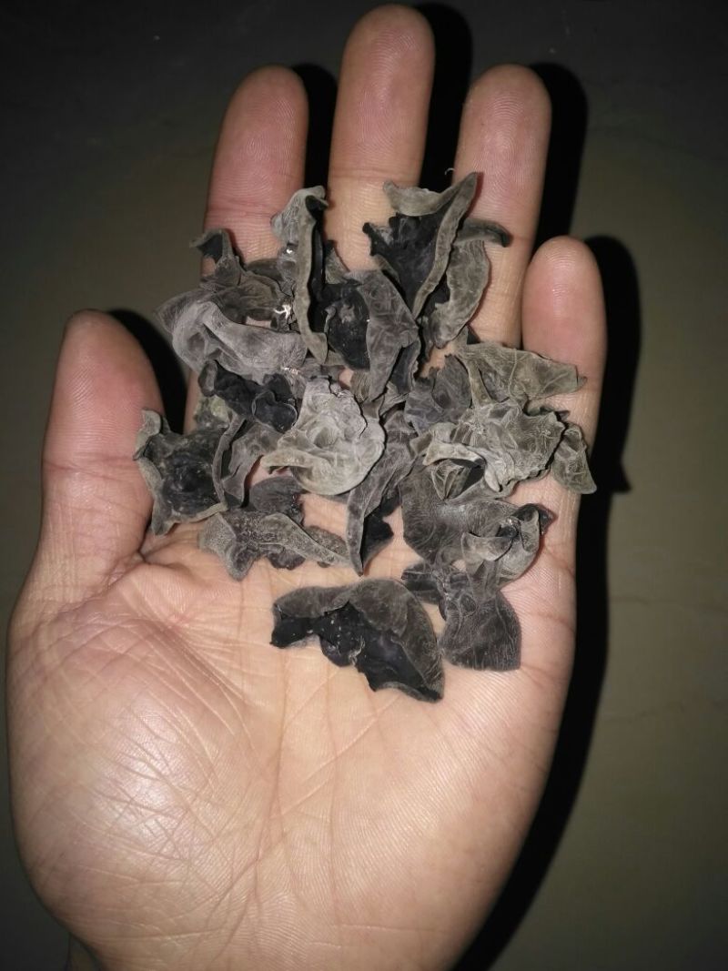 黑木耳一级