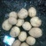 土豆种子
