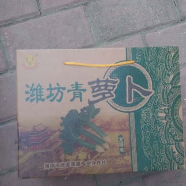 潍县萝卜