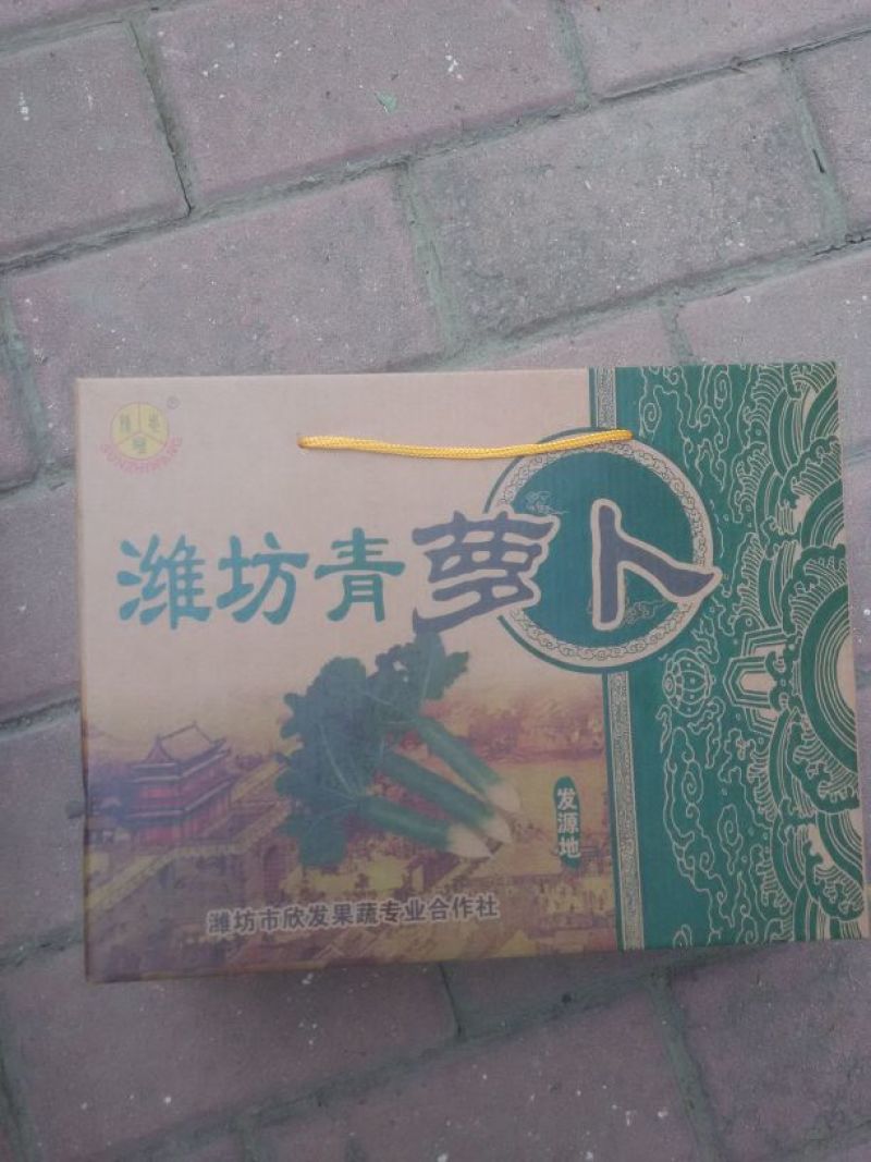 潍县萝卜