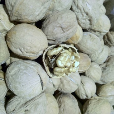 薄皮核桃30mm以上去皮干