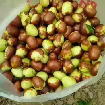 鸡心枣鲜枣一级