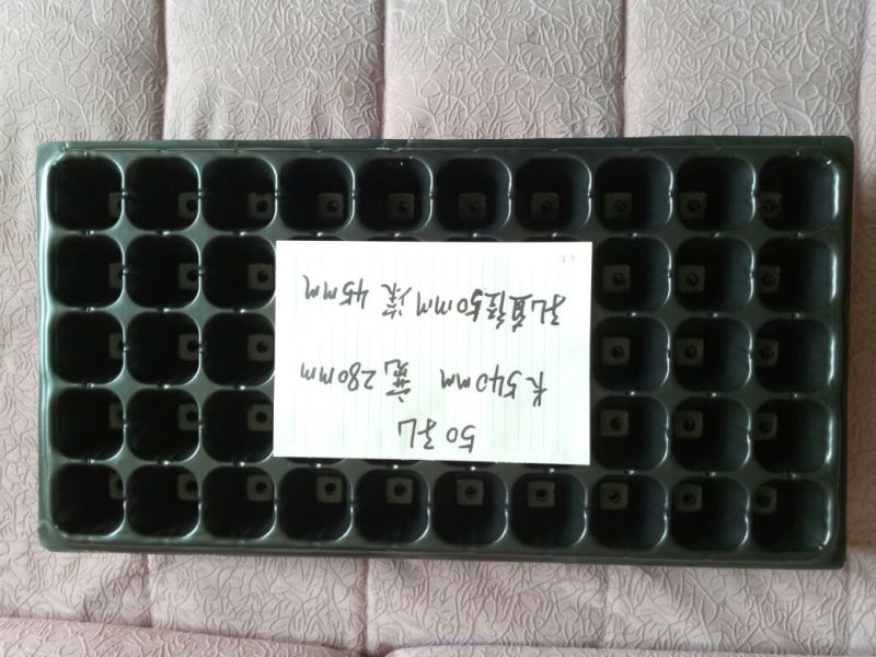 穴盘72孔
