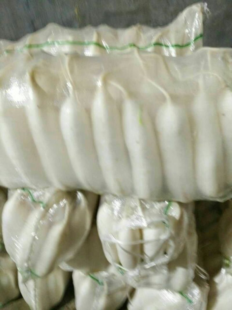 白萝卜1~1.5斤起