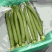 鲜花丝瓜25厘米以上
