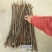 核桃苗50~100cm二年苗