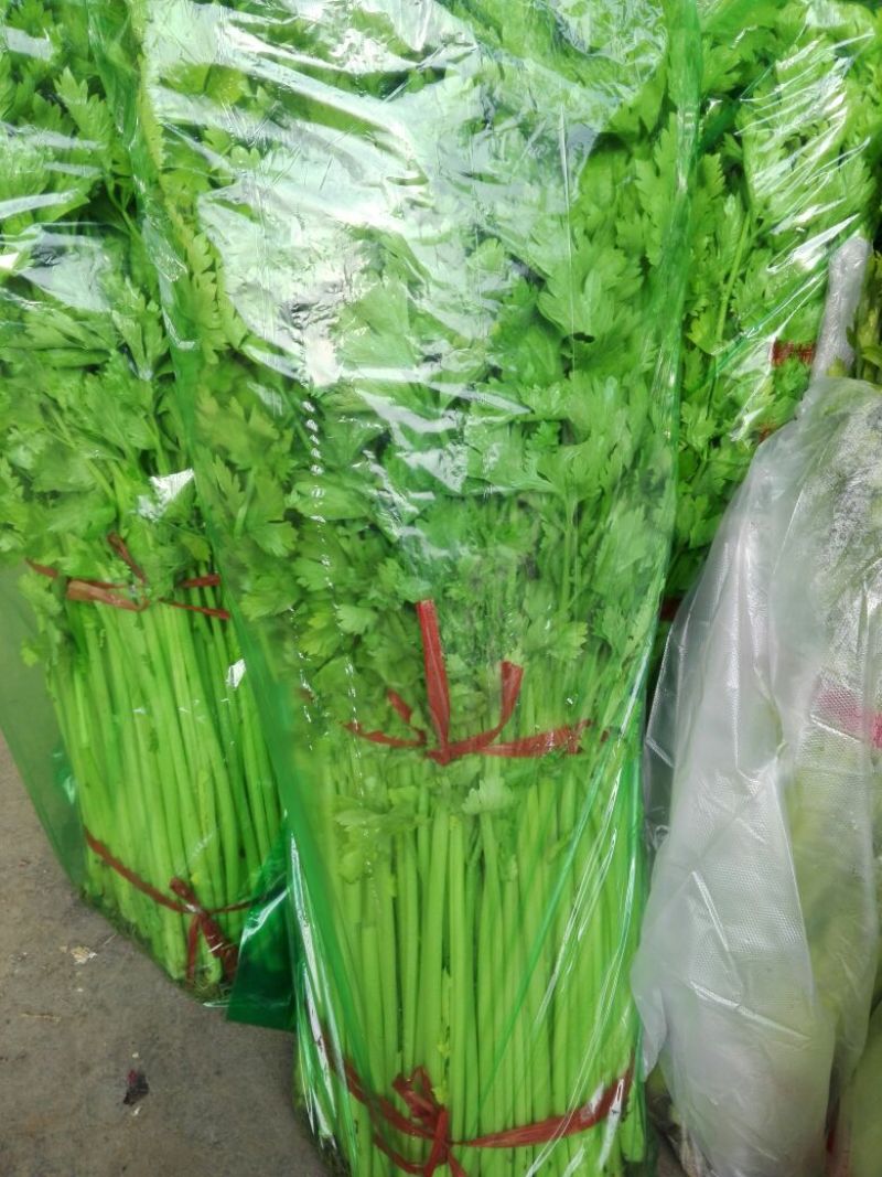 基地直供带泥小香芹菜45cm以上颜色绿嫩，农户地里直供