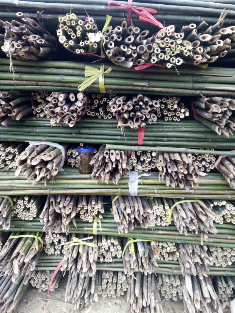 竹子产地菜架竹竿、支撑竹竿、大棚竿品种齐全，欢迎采购