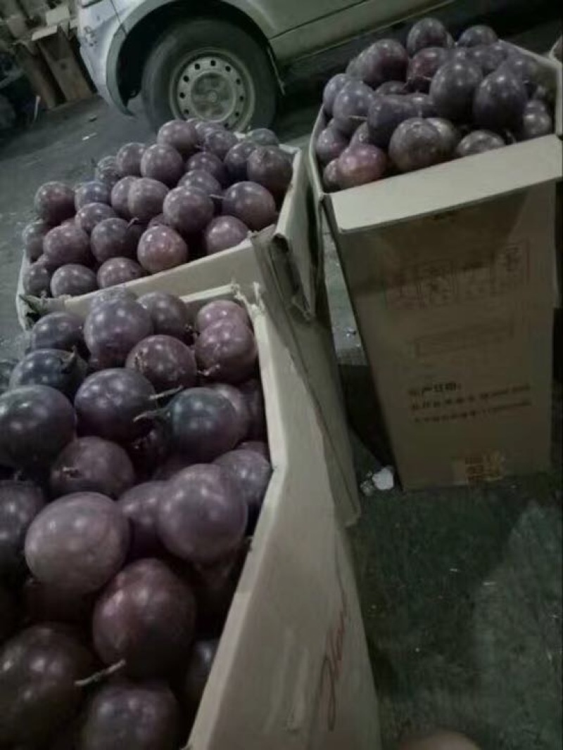 百香果独立包装桂林高山百香