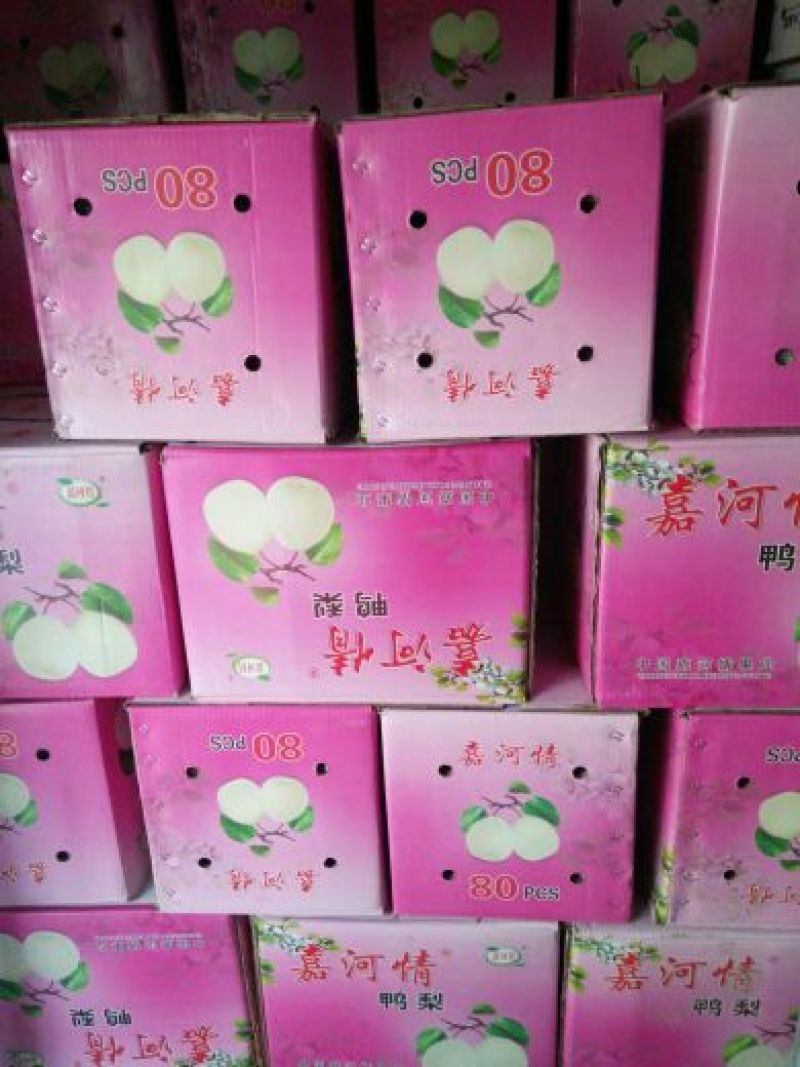 鸭梨450~500g纸箱