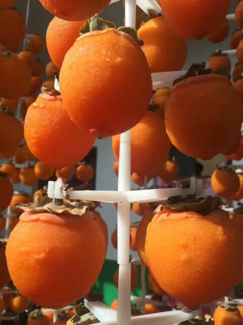 柿饼1~2两