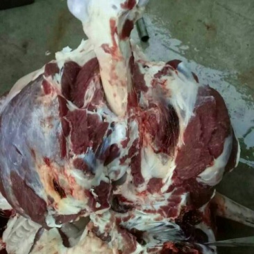 驴肉鲜货
