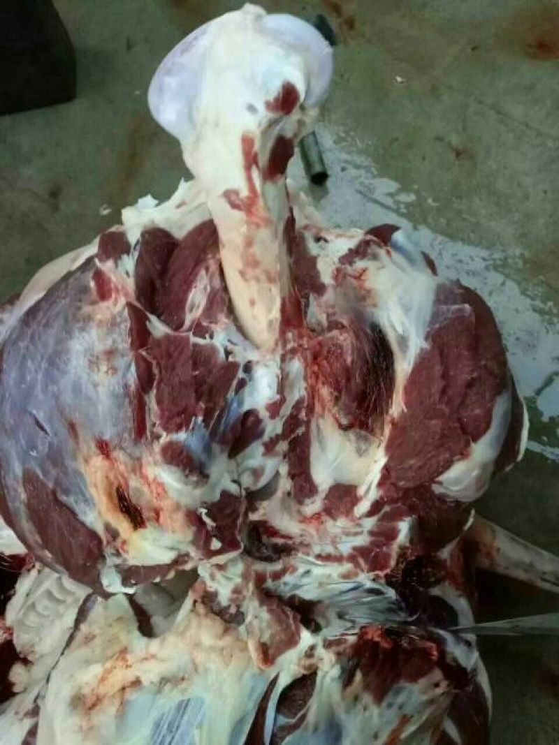 驴肉鲜货
