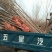 金叶榆8~10cm6~8cm3.5~4m