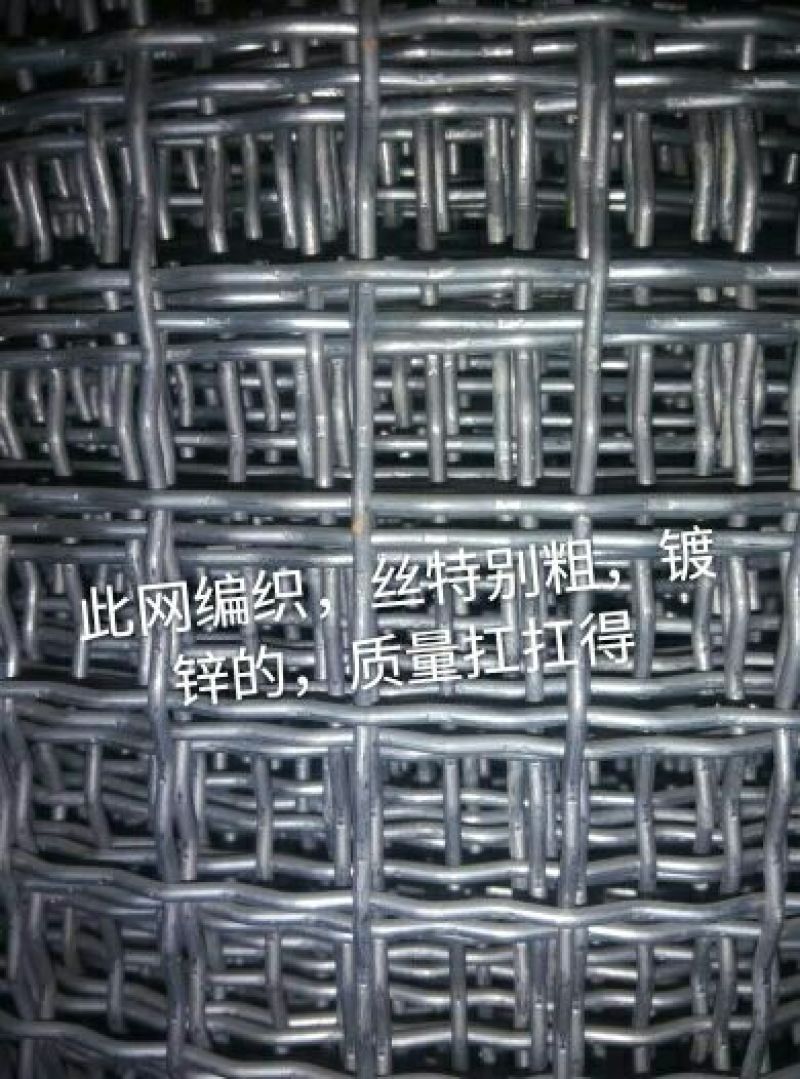 养鸡围栏网6公分