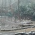 鹅蛋食用