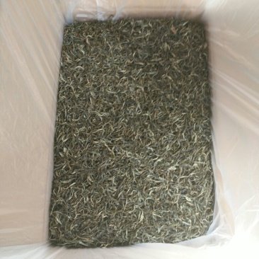 百年大树茶特级