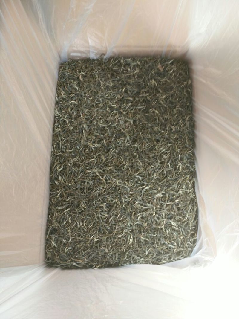 百年大树茶特级