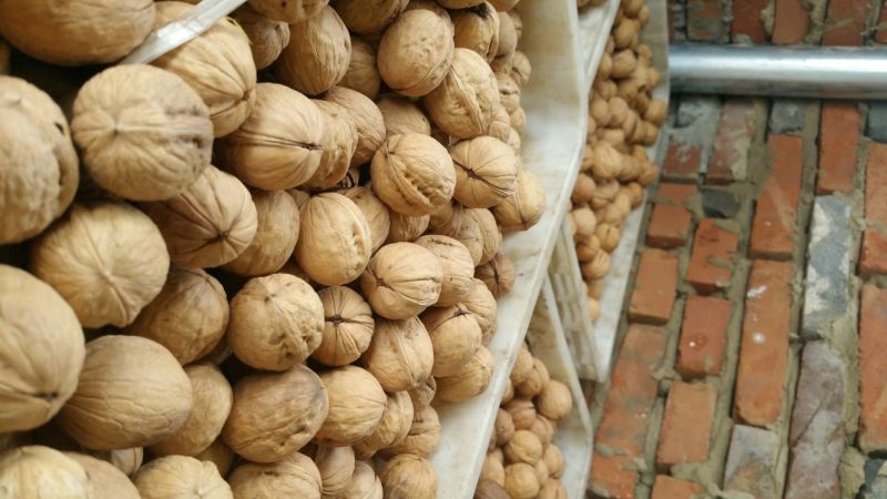 香玲核桃30mm以上去皮