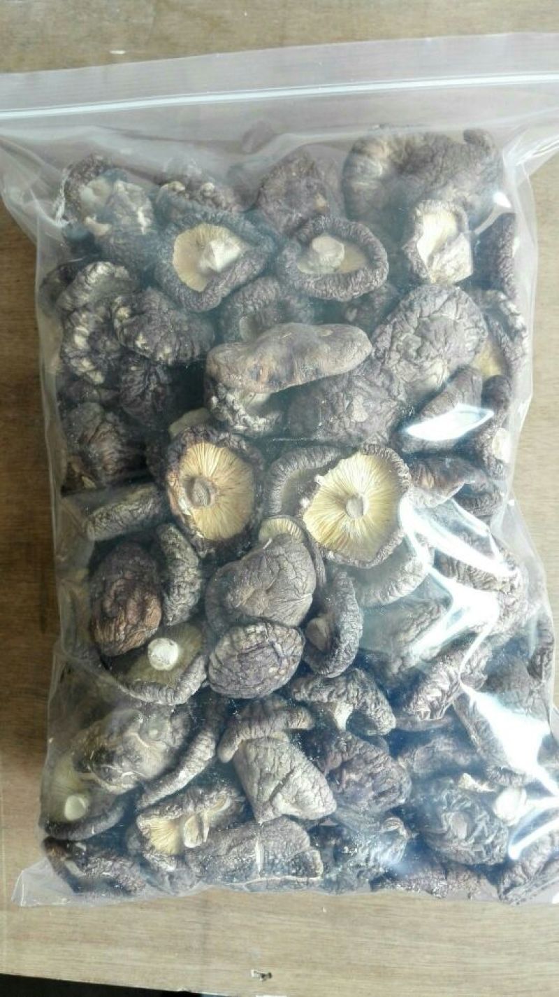 干香菇椴木菇秦岭小香菇