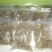 红薯粉皮包装