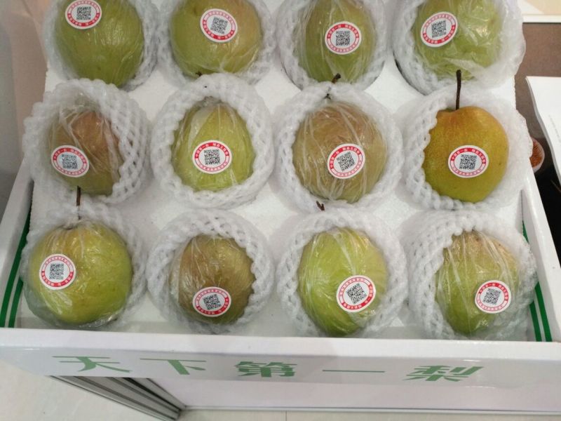 玉露香300~350g膜袋