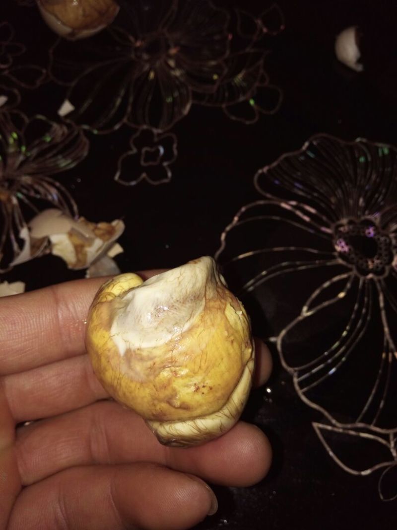 凤胚蛋食用50~60g