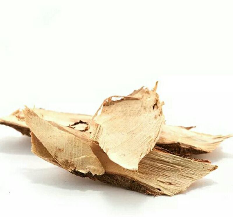 白背根