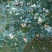 红富士苹果纸袋