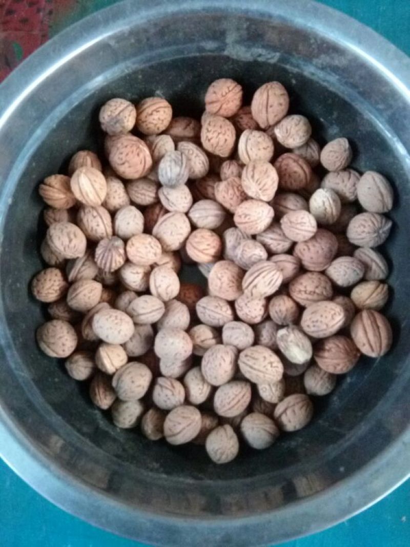 山桃核统货，40吨，想要联系我