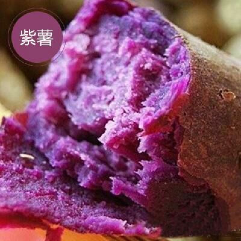 红薯黄心3两-7两烟薯25,西瓜红,基薯26商薯19