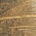 国槐8~10cm6~8cm1~2米