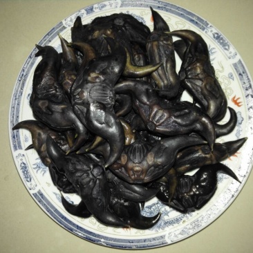 脱皮老菱角家菱产地直销脱皮菱角（菱角种子提前预约）